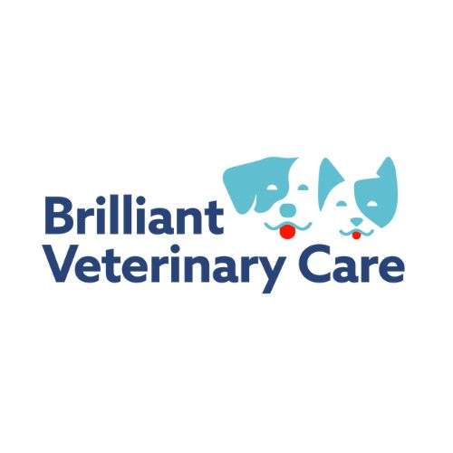 Brilliant Veterinary Care